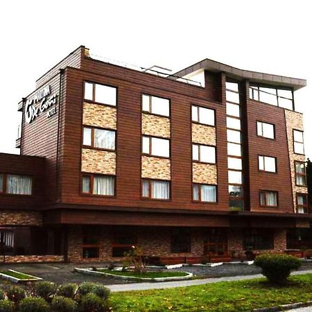 Hotel Martina de Goñi Pucón Exterior foto